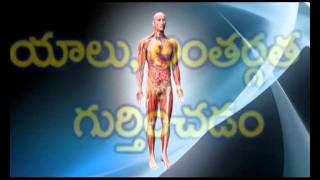 CT Scan Procedure Telugu [upl. by Afirahs]