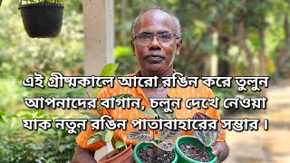 এই গ্রীষ্মকালে আরো রঙিন করে তুলুন আপনাদের বাগান চলুন দেখে নেওয়া যাক নতুন রঙিন পাতাবাহারের সম্ভার । [upl. by Prochoras]