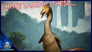 Herperornis Taming Is The Worst  Ark Survival Ascended EP56 [upl. by Artied]