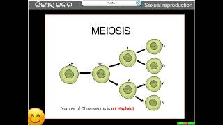 Life Science Class 10 Reproduction Part 03 [upl. by Mitchel214]