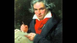 Ludwig van Beethoven  Symphony No 5 Full [upl. by Yderf]