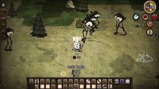 Tall Bird Craziness Adventure of Mystical Day 2587 dontstarvetogether live ps5 cozygaming dst [upl. by Nosnehpets66]