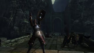 Removed Armor Restrictions  Demons Souls mod [upl. by Staffard530]