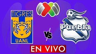 TIGRES VS PUEBLA EN VIVO  LIGA MX APERTURA 2024  JORNADA 11  DONDE VER EN VIVO [upl. by Arinaj]