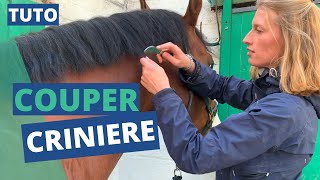 Raccourcir une crinière sans ciseaux et sans trimer 🐴✂️ [upl. by Eward141]