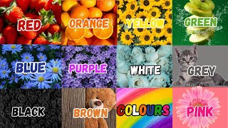 Color song for kids and toddlers  We Love all the Colors Nursery Rhymes amp Kids Song  Learn Color [upl. by Jammie891]