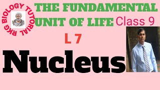 Nucleus  Karyon karyology Chromosome ch The fundamental unit of life class 9 [upl. by Nilac820]