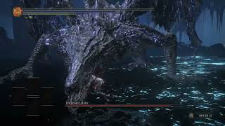 Darkeater Midir NG7 Thorns Set No HP FAILURE [upl. by Llehsem]