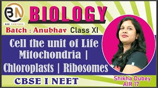 CELL THE UNIT OF LIFEMITOCHONDRIA CHLOROPLASTS RIBOSOMES CLASS XI BIOLOGY NEET 2025 [upl. by Ahseei]