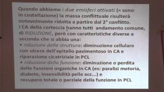 5 leggi biologiche cenni sulla corteccia cerebrale 1 [upl. by Llerrej]