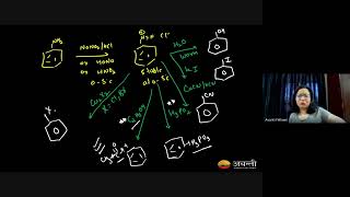 Complete Reagents of Organic Chemistry  12th NEET Chemistry  12th March 2024 [upl. by Aziram672]