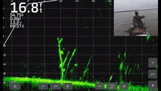 Fishing with Livescope Plus for Crappie FullScreen Livescope Throughout Trip 2 [upl. by Reppiks]