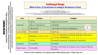 Microbiology 81  Classification of Antifungal Drugs  Mechanism of Action of Antifungal Drugs [upl. by Aube]