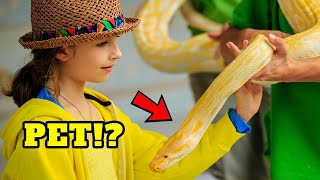 How to Choose a Pet Snake  BEGINNERS GUIDE [upl. by Costanza285]