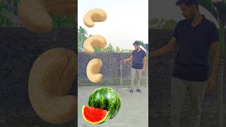 Rounding cashew nut to Grapes Mango lichi amp Watermelon  Fruits names magic video [upl. by Airrej265]