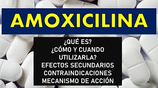 🔴 AMOXICILINA  PARA QUÉ SIRVE EFECTOS SECUNDARIOS CONTRAINDICACIONES MECANISMO DE ACCIÓN [upl. by Einegue]