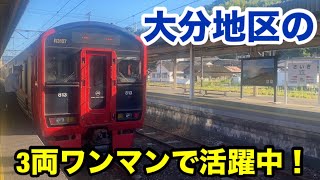 【日豊本線】佐伯駅まで乗り入れる813系に乗ってきた [upl. by Sussman]