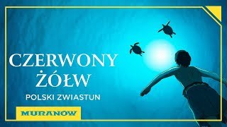 Kino Muranów CZERWONY ŻÓŁW 2016 zwiastun PL [upl. by Osithe]