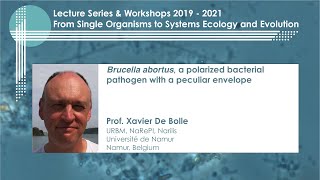 Brucella abortus a polarised bacterial pathogen with a peculiar envelope by Prof Xavier De Bolle [upl. by Sonitnatsnoc]