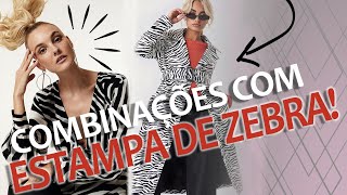 COMBINAÇÕES DE LOOKS  ESTAMPA DE ZEBRA [upl. by Innattirb]