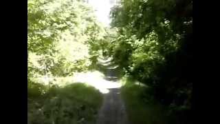 Biking Through Hines Park  Westland Michigan [upl. by Anaele681]