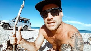 YBS Lifestyle Ep 49  Spearfishing BIG Mackerel And Jobfish  Crazy Sharks  Catch And Cook [upl. by Oletha]