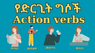 Action verbsየድርጊት ግሶችAction verbs in amharicenglish grammarethiopian language to english [upl. by Lamee]