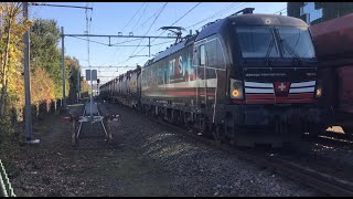 2 Freight Trains meets  DB Cargo Iron Ore Train and Container Train SBB Cargo at Venlo 🇳🇱Nov 32024 [upl. by Bartholemy]