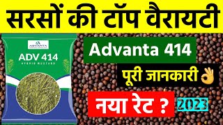 Advanta 414 सरसों की टॉप वैरायटी  नया रेट आ गया है  Sarso Ki Top Variety 2023  Sarso Ki Kheti [upl. by Bergstein727]