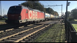 Austria 🇦🇹 Railways OBB Cargo Freight Train in the Netherlands 🇳🇱 Open Railroad Market in Europe [upl. by Novia]