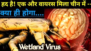 New virus found in China  discovered Wetland Virus kya hai  why need to worry from Chinese viruses [upl. by Rudd463]