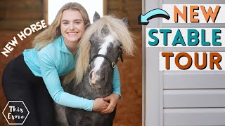 New Stable Tour Stable Renovation Series  This Esme AD [upl. by Carolle]