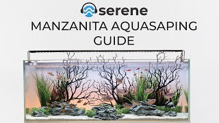 Manzanita Aquascape Guide for Serene 65 Aquarium [upl. by Nielsen]