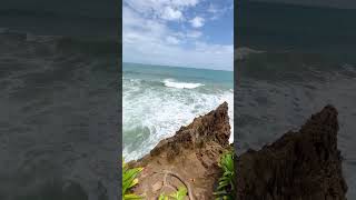 Puerto Viejo de Talamanca ✨Costa Rica 🇨🇷 Digital Nomad Lifestyle [upl. by Lan124]