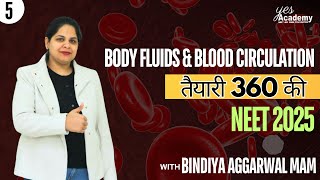 Body fluids and ciculation  ECG Double CIRCULATION  NEET 25  Part 3  Selection जरुरी है। [upl. by Ellehcil]