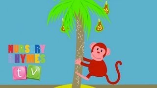 MONKEY  Original Song  Nursery Rhymes TV  English Songs For Kids [upl. by Leizo]