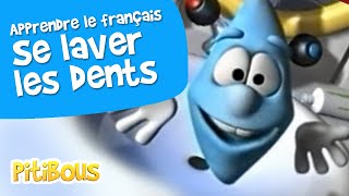 Apprendre à bien se brosser les dents  les Pitibous  Français [upl. by Warde56]