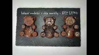 🐻 Kakaoví medvídci s chia semínky a jogurtem  BEZ LEPKU  Zdravé mlsání  CZSK HD recipe [upl. by Nodmac625]