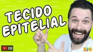 TECIDO EPITELIAL  HISTOLOGIA  Aula  Biologia com Samuel Cunha [upl. by Goodden458]