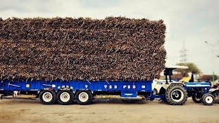 Extrem Heavy load ਗੱਨਾ pull  New Holland 3630  Medium ਵਾਲਾ ਜਹਾਜ  Tractoran ਦਾ ਰਾਜਾ 3630 [upl. by Izmar]