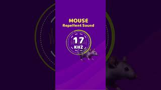 Mouse amp Rat Repellent Noise Highfrequency sounds [upl. by Madda]