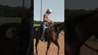 Barrel Racing Futurity Horse Training Timeline from Ashley Schafer [upl. by Secundas]