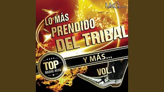 Cumbia Tribalera [upl. by Verras]