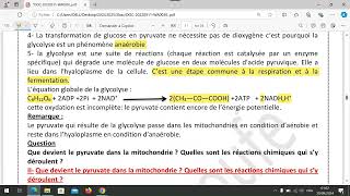 unité 1  chapitre 1 la glycolyse et le devenir de lacide pyruvique dans la mitochondrie [upl. by Kamerman]