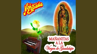 Mañanitas Guadalupanas Oh Virgen [upl. by Yelssew]