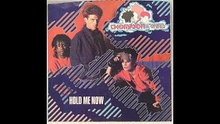 Thompson Twins  Hold Me Now HDLyrics [upl. by Ahsitra]