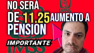 😱NO Será de 1125 el AUMENTO a la PENSION IMSS en 2024 [upl. by Jaan931]