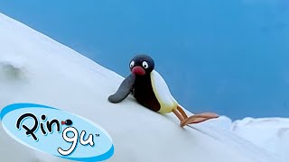 Pingu Learns His Lesson 🐧  Pingu  Official Channel  Cartoons For Kids [upl. by Dinsmore]