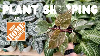 So Many Good Planty Finds at The Home Depot Today  Relaxing Lofi Plant Shopping Trip [upl. by Ark]