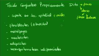 Tecido Conjuntivo Propriamente Dito  Aula 1 [upl. by Claude282]